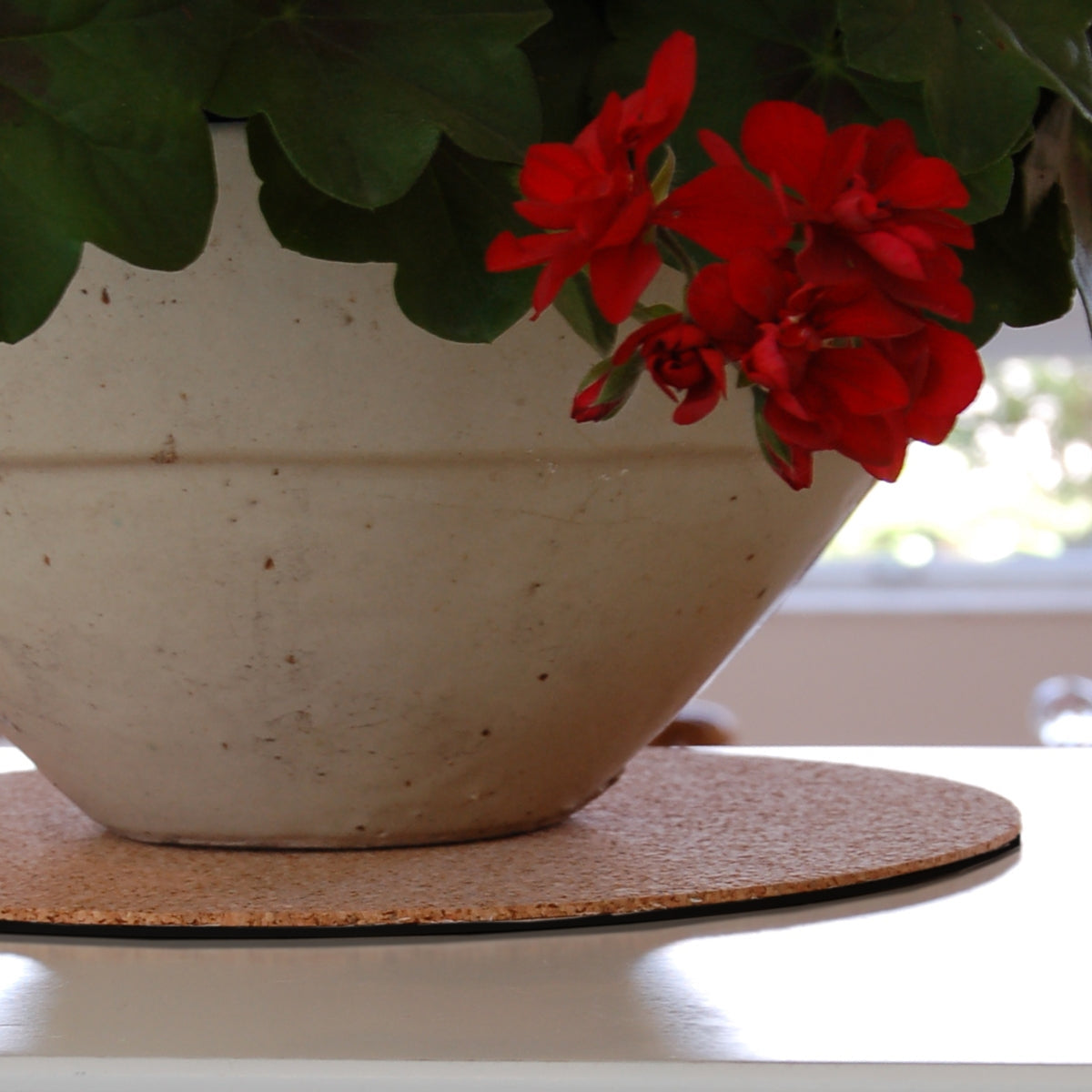 White ceramic planter with red flowers on a cork coaster
