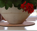 Eco Cork Mat for Houseplants